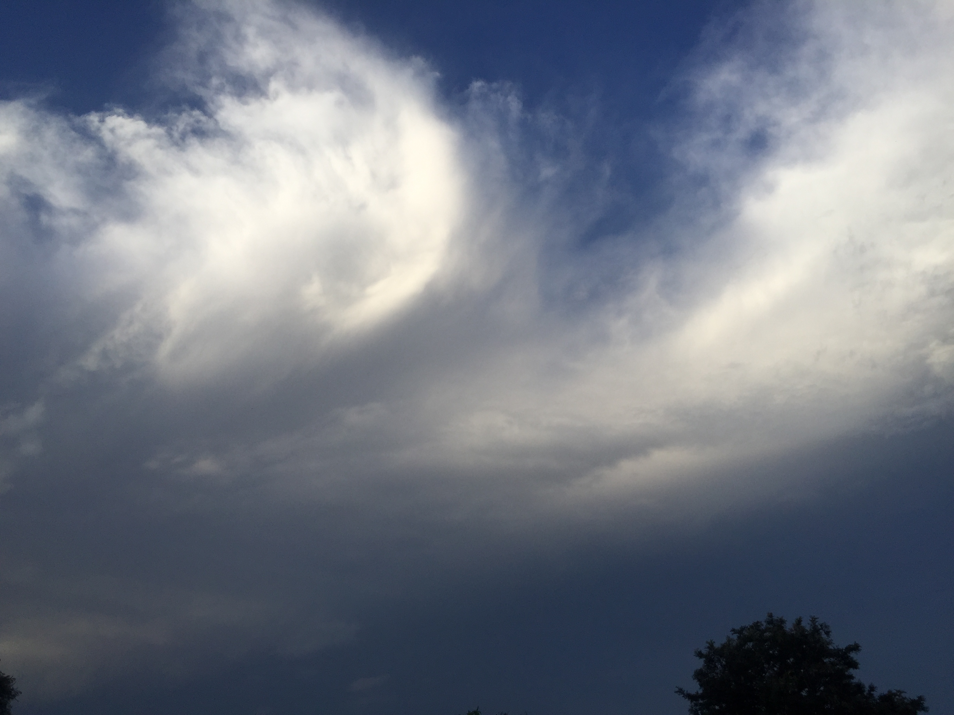 space-logo-sky-is-the-limit